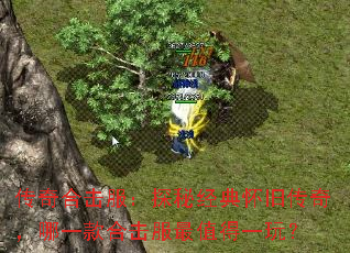 ϻ̽ؾ仳ɴ棬һϻֵһ棿