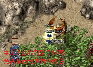 Ԫָϣ龭䴫