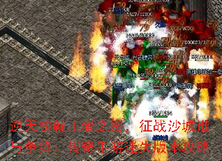 ֮·սɳ˭棺ʧ汾
