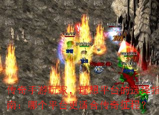 ңƽ̨ѡָϣĸƽ̨ʺϴ̣