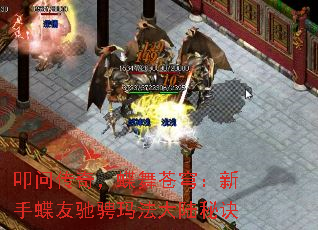 ߵʴ棬񷣺ֵѳ۳귨½ؾ