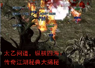 ̫ʵݺĺ潭ص