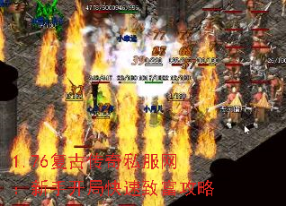 1.76Ŵ˽ֿֿ¸