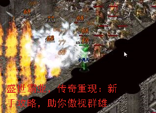 ʢҵֹ֣ԣȺ