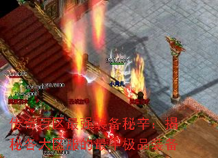 ǿװظţƷװ