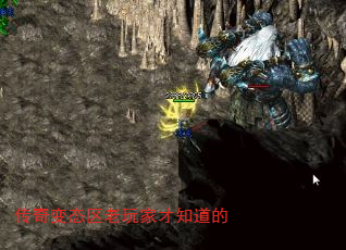 ̬Ҳ֪