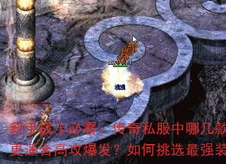 սʿؿ˽ļʺϸ߹ѡǿװ