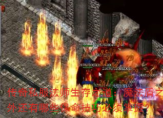 ˽ʦ֮ħ֮⻹Щɱգ