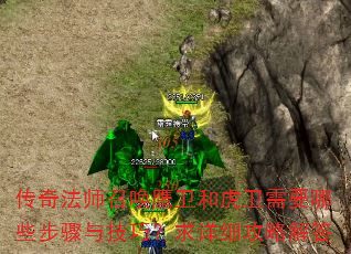 淨ʦٻӥͻҪЩ뼼ɣϸԽ