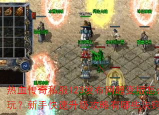 热血传奇私服123发布网超变版怎么玩?新手快速升级攻略有哪些诀窍? 热血传奇私服123发布网超变版怎么玩?新手快速升级攻略有哪些诀窍?