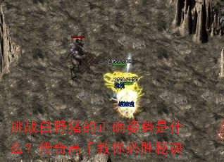 սҰȷʲôֽʤؾ
