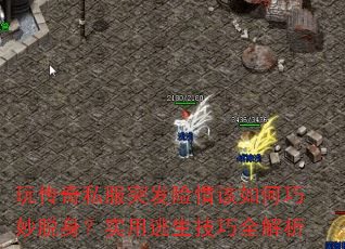 洫˽ͻʵȫ