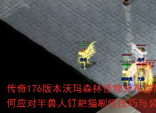 176汾ɭֲֹ⣿Ӧ԰˶èˢּװָ