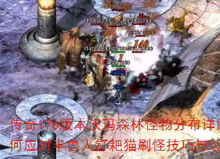 176汾ɭֲֹ⣿Ӧ԰˶èˢּװָ