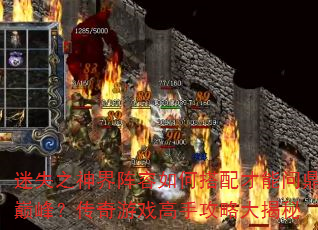 ʧ֮δʶ۷壿ϷֹԴ