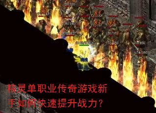 鵥ְҵϷοս