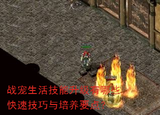 սЩټҪ㣿
