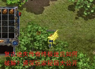 ʧռԹƽ⣿ؼ󹫿