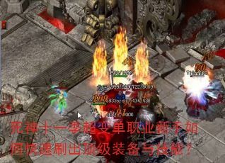 ʮһ䵥ְҵοˢװ뼼ܣ