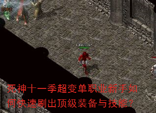 ʮһ䵥ְҵοˢװ뼼ܣ