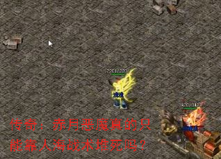 棺¶ħֻܿ˺ս
