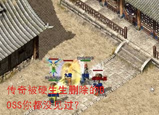 汻ӲɾBOSS㶼û