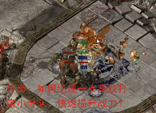 棺齨һ֧ЧСֶӣս