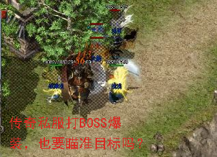 ˽BOSSװҲҪ׼Ŀ