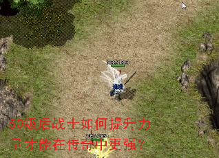 50级后战士如何提升力量才能在传奇中更强? 50级后战士如何提升力量才能在传奇中更强?