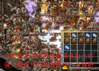 ѡʺԼǿְҵְҵѡȫ