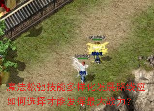 魔法松弛技能多样化发展路线应如何选择才能发挥最大战力? 魔法松弛技能多样化发展路线应如何选择才能发挥最大战力?
