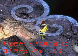 嘟嘟传奇装备持久属性如何提升?有什么技巧或方法吗? 嘟嘟传奇装备持久属性如何提升?有什么技巧或方法吗?