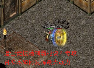 道士竞技场制霸秘诀?毒攻召唤术如何发挥最大战力 道士竞技场制霸秘诀?毒攻召唤术如何发挥最大战力