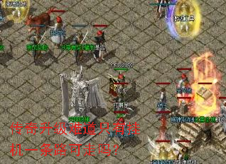 传奇升级难道只有挂机一条路可走吗? 传奇升级难道只有挂机一条路可走吗?