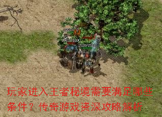 玩家进入王者秘境需要满足哪些条件?传奇游戏资深攻略解析 玩家进入王者秘境需要满足哪些条件?传奇游戏资深攻略解析