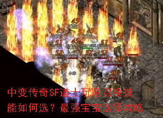 中变传奇SF道士玩家召唤技能如何选?最强宝宝选择攻略 中变传奇SF道士玩家召唤技能如何选?最强宝宝选择攻略