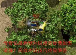 传奇私服后期升级速度缓慢如何破解?高效冲级技巧终极解答 传奇私服后期升级速度缓慢如何破解?高效冲级技巧终极解答