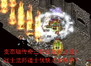 ̬洫ְҵѡսʿʦʿȱȫ