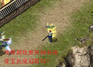 传奇游戏里用狗书换骨玉到底划算吗? 传奇游戏里用狗书换骨玉到底划算吗?