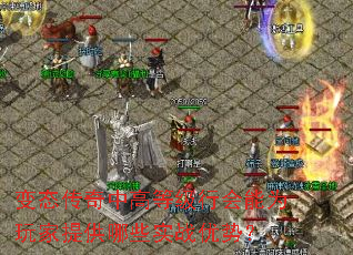 ̬иߵȼлΪṩЩʵսƣ