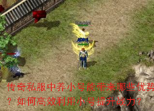 传奇私服中养小号能带来哪些优势?如何高效利用小号提升战力? 传奇私服中养小号能带来哪些优势?如何高效利用小号提升战力?