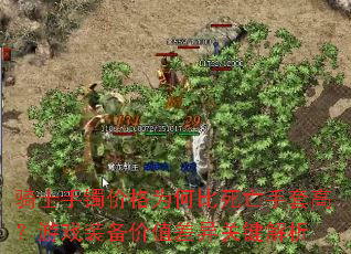 ʿ۸Ϊα׸ߣϷװֵؼ