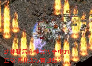 武林秘籍在神器传奇中的正确使用技巧有哪些? 武林秘籍在神器传奇中的正确使用技巧有哪些?