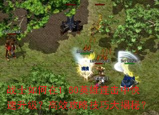 սʿ1.80ӢпЧԼɴأ