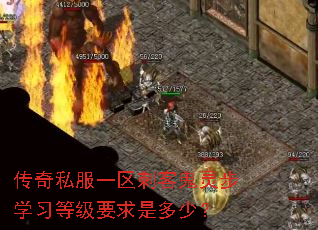 传奇私服一区刺客鬼灵步学习等级要求是多少? 传奇私服一区刺客鬼灵步学习等级要求是多少?