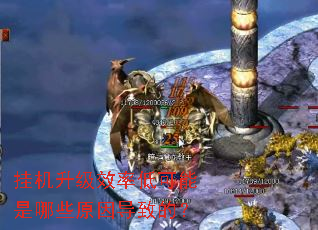 挂机升级效率低可能是哪些原因导致的? 挂机升级效率低可能是哪些原因导致的?