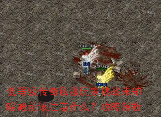 低等级传奇私服玩家挑战未知暗殿前该注意什么?攻略解析 低等级传奇私服玩家挑战未知暗殿前该注意什么?攻略解析