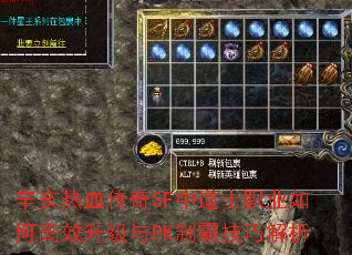 辛亥热血传奇SF中道士职业如何高效升级与PK制霸技巧解析 辛亥热血传奇SF中道士职业如何高效升级与PK制霸技巧解析