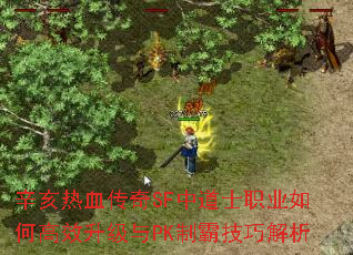 辛亥热血传奇SF中道士职业如何高效升级与PK制霸技巧解析 辛亥热血传奇SF中道士职业如何高效升级与PK制霸技巧解析