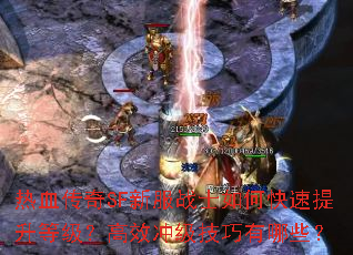 热血传奇SF新服战士如何快速提升等级?高效冲级技巧有哪些? 热血传奇SF新服战士如何快速提升等级?高效冲级技巧有哪些?